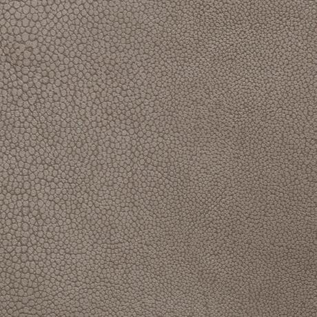 Stingray: Terra (6000/71)