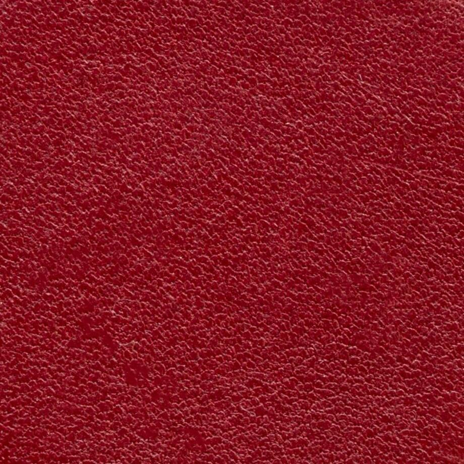 Red Leather